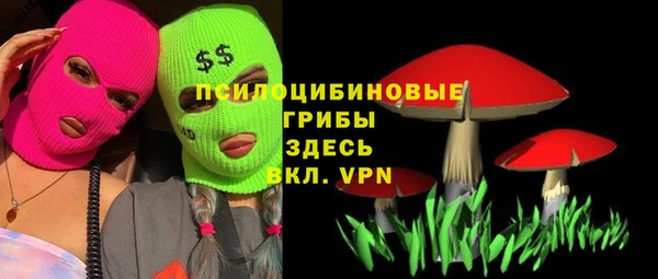 дмт Армянск