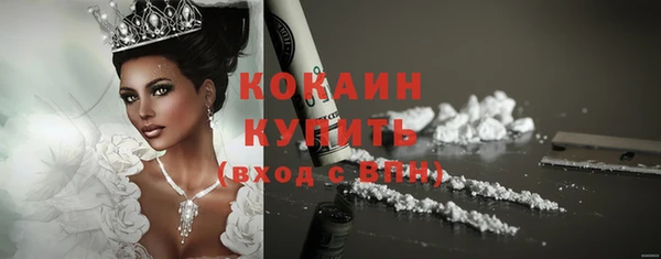 тгк Ростов